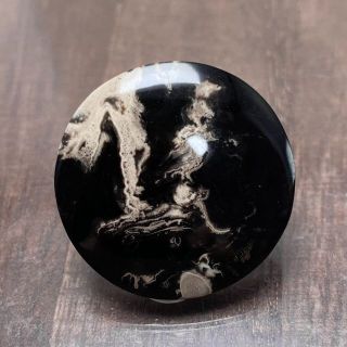 開店記念セール!】 ペトリファイド パームウッド(珪化木) ルース