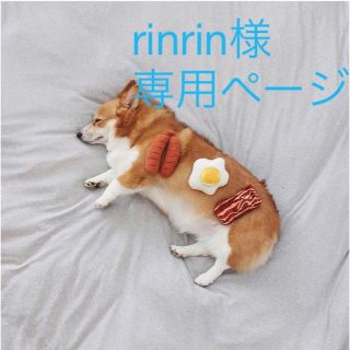 rinrin様専用ページ(ピアス)