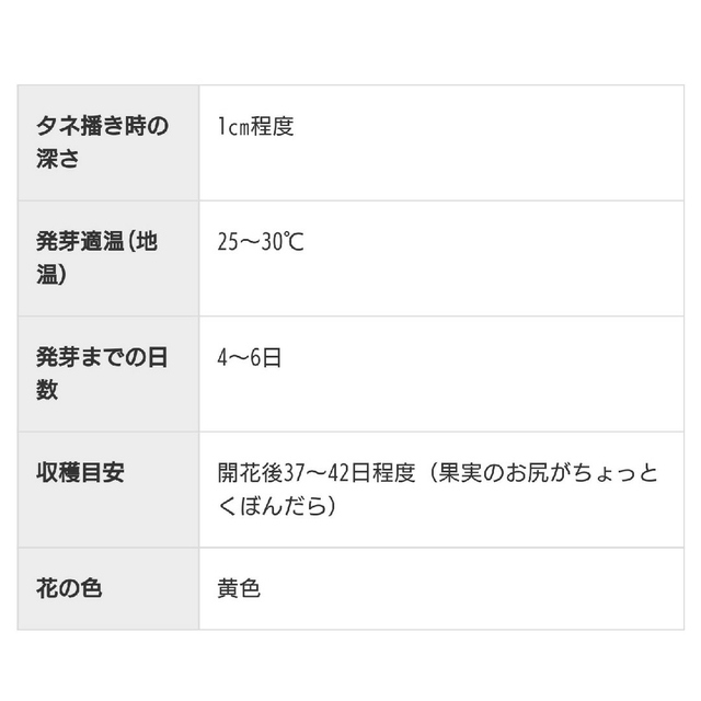 自然のタネ 黒小玉スイカ 固定種 家庭菜園向け すいかの種 くろこだますいか 食品/飲料/酒の食品(フルーツ)の商品写真