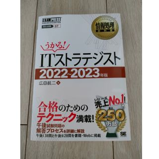 ＩＴストラテジスト ２０２２～２０２３年版(資格/検定)