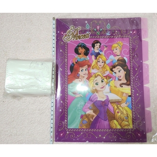 ディズニー(Disney)のディズニー ラプンツェル 折り財布 AMERI & Prince ファイル 5段(財布)