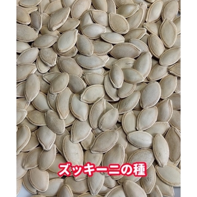 ズッキーニ種【20粒以上】無農薬栽培の種・増量サービス中 食品/飲料/酒の食品(野菜)の商品写真