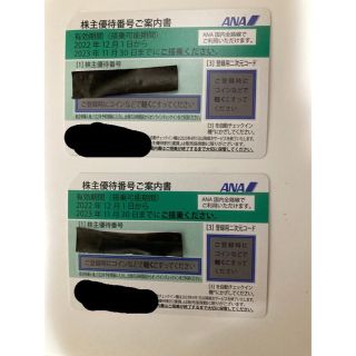 エーエヌエー(ゼンニッポンクウユ)(ANA(全日本空輸))の株主優待券　ANA(その他)