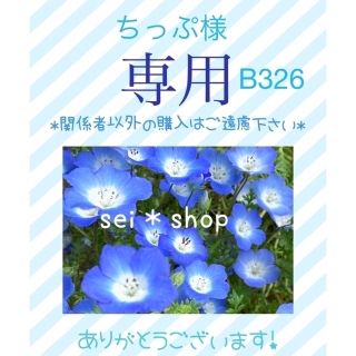 ちっぷ様専用　1点　B326(外出用品)