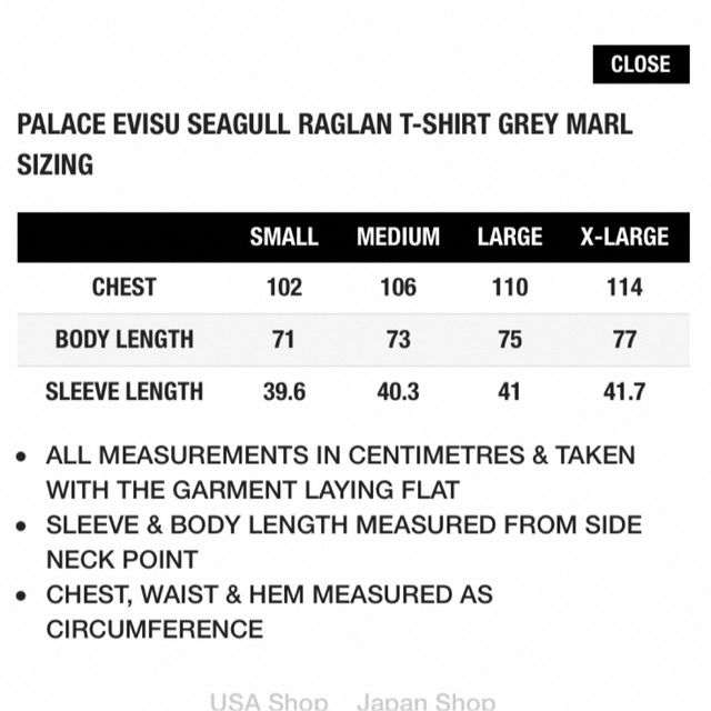 お買い物マラソン限定☆ Sサイズ palace パレス エビス evisu tee T