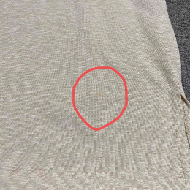 ベージュ　花刺繍　Tシャツ レディースのトップス(Tシャツ(半袖/袖なし))の商品写真