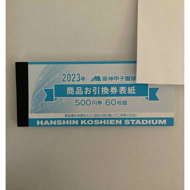 阪神タイガース  2023 阪神甲子園球場 商品お引換券 30000円分チケット