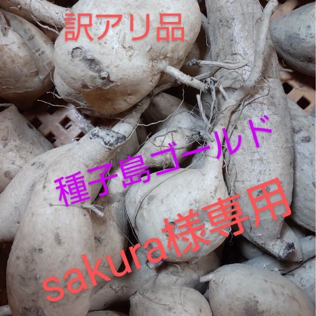 sakura様専用 食品/飲料/酒の食品(野菜)の商品写真