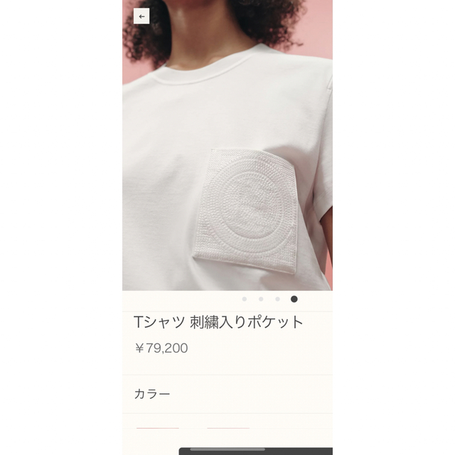 Hermes - 【タグ付新品未着用】HERMES エルメス Tシャツ 刺繍入り ...
