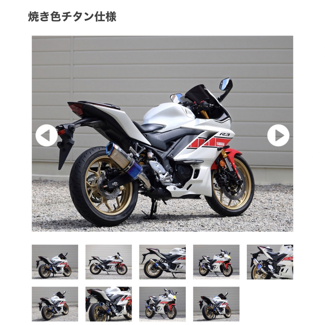 SS-OVALサイレンサー YAMAHA 値下げしました 非売品 www.sportfolioapp.nl