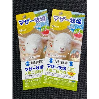 ’23.６/ 30 迄 ◆ 千葉県 マザー牧場 ◆ 入園券２枚 set！！(動物園)