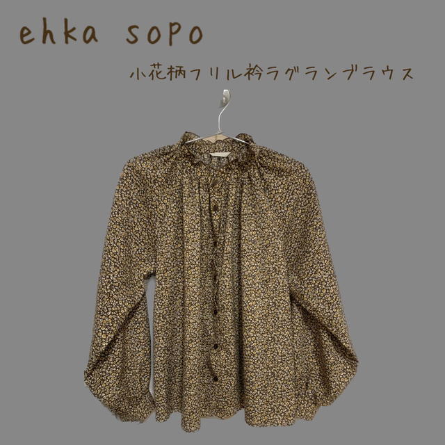 ehka sopo(エヘカソポ)のehka sopo 小花柄フリル衿ラグランブラウス レディースのトップス(シャツ/ブラウス(長袖/七分))の商品写真