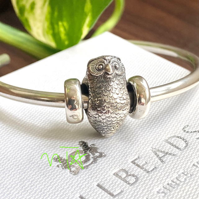 Trollbeads Owl Bead フクロウ 未使用 - チャーム