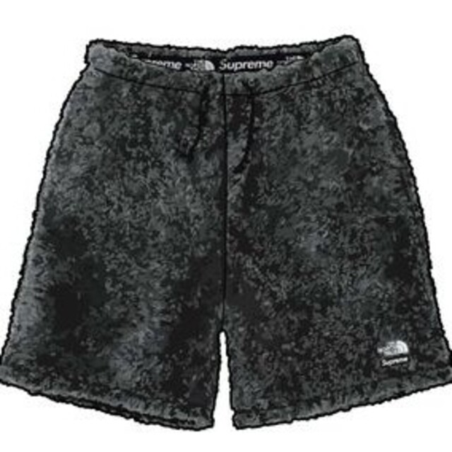 Supreme / The North Face Fleece Short