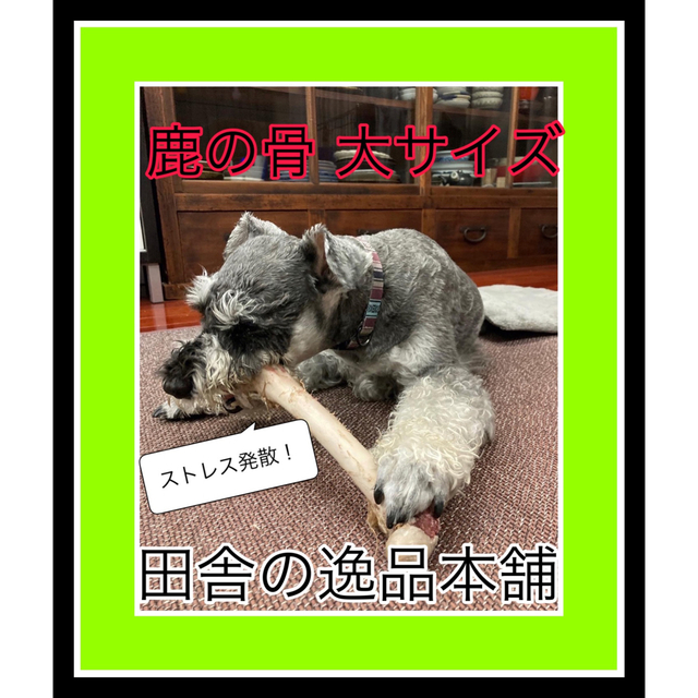 ★中型犬から大型犬用★鹿の骨・猪の骨詰め合わせ 4980円セット 800g以上 3