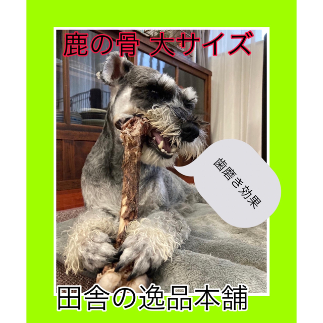 ★中型犬から大型犬用★鹿の骨・猪の骨詰め合わせ 4980円セット 800g以上 4