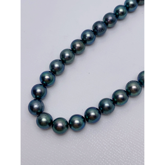 アクセサリーN525 本真珠 黒真珠 黒パール ブラックパール ネックレス SILVER刻印