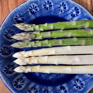 【食べ比べ】今が旬!那須の麓の朝採りアスパラガス　ホワイト＆グリーン　800g(野菜)