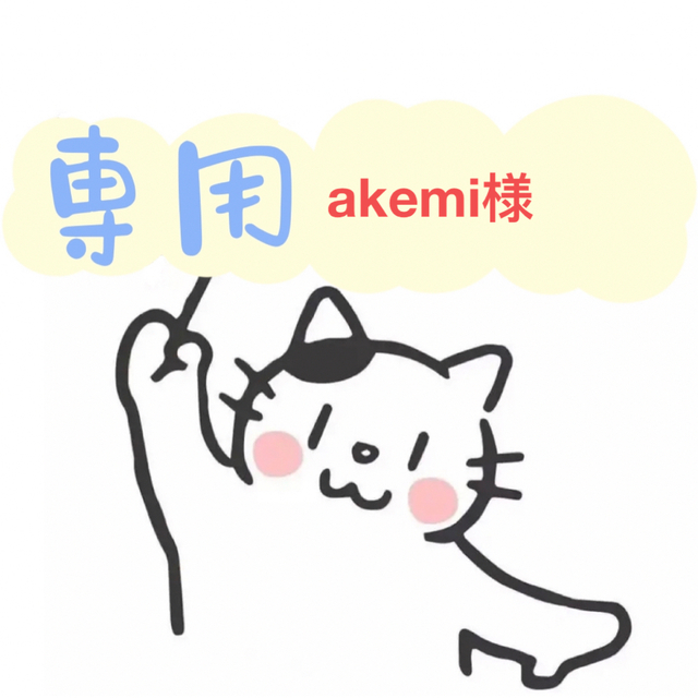 ディーラー akemi様専用ページ | www.butiuae.com