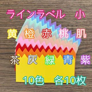 ラインラベル 小 10色 各10枚 園芸カラーラベル 多肉植物 エケベリア(プランター)