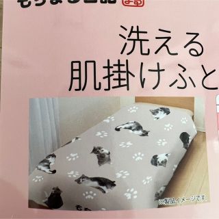 オイルペイント もちまる日記 しまむら 洗える肌掛ふとん - 通販