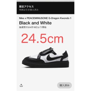 ピースマイナスワン(PEACEMINUSONE)のPEACEMINUSONE Nike Kwondo 1 (スニーカー)