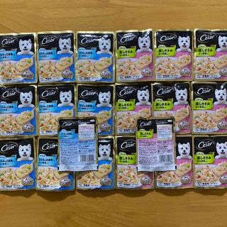 シーザー(CASAR)の『20個セット』シーザー　ごろっと蒸しささみ　彩り野菜&ささみ白身魚入り彩り野菜(犬)