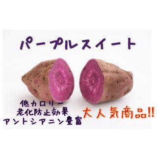 パープルスイート　さつまいも　化学肥料不使用　3kg(野菜)