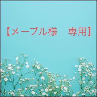 シセイドウ(SHISEIDO (資生堂))のアルティスト　ヘアカラー　白髪染め　ホワイトブリーチ　【９）TG 】⭐️セール中(カラーリング剤)