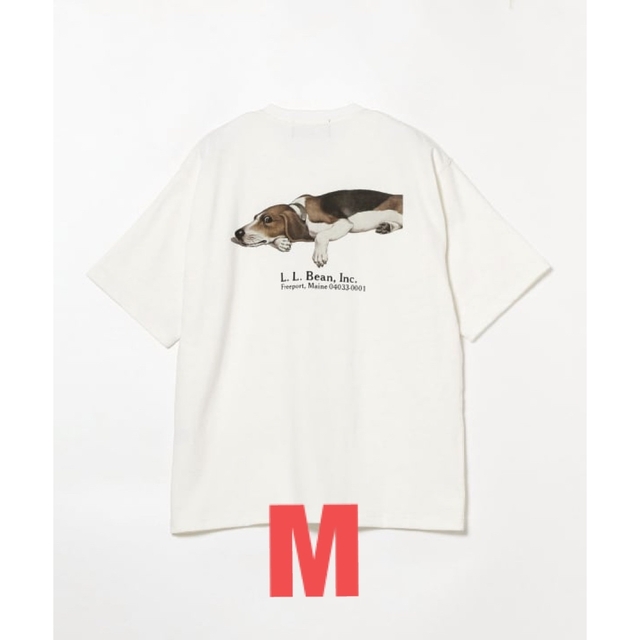 WhiteBeagleサイズL.L.Bean×BEAMS Bean's GreenLabel Print-T