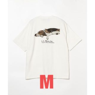 ビームス(BEAMS)のL.L.Bean×BEAMS Bean's GreenLabel Print-T(Tシャツ/カットソー(半袖/袖なし))