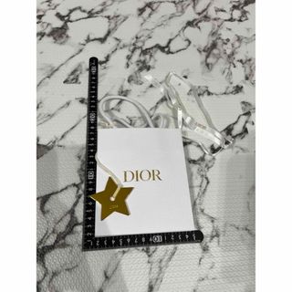 ディオール(Dior)のDIOR ショッピングバッグ(ショップ袋)