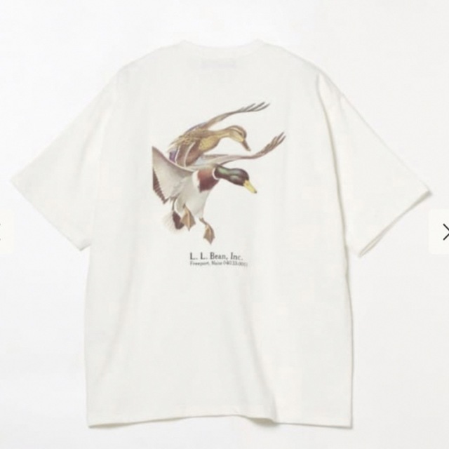 L.L.Bean×BEAMS Bean's GreenLabel Print-T