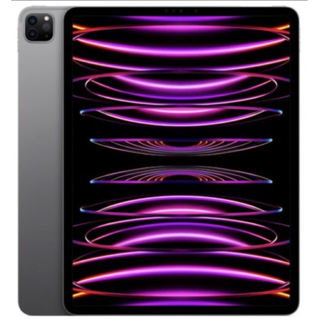 iPad Pro（第6世代） 12.9インチ　スペースグレイ 256GB