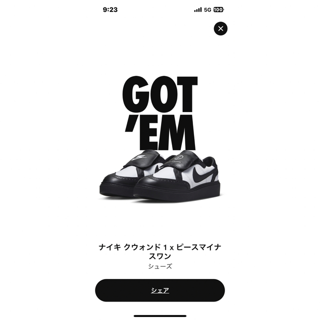 スニーカーNike peaceminusone kwondo1 ジードラゴン　ナイキ