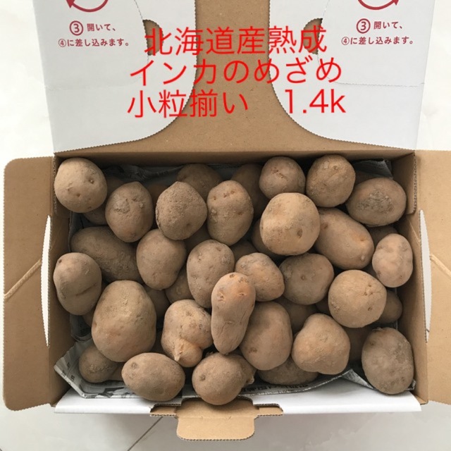 北海道産熟成インカのめざめ　小粒1.4k 食品/飲料/酒の食品(野菜)の商品写真