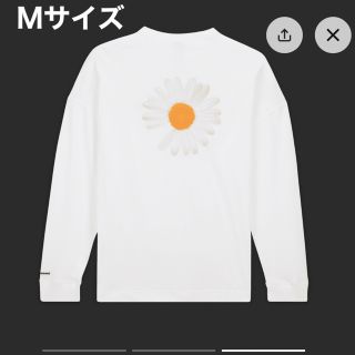 ピースマイナスワン(PEACEMINUSONE)の(Mサイズ)ピースマイナスワン ピーエムオー x ナイキ LS (Tシャツ/カットソー(七分/長袖))