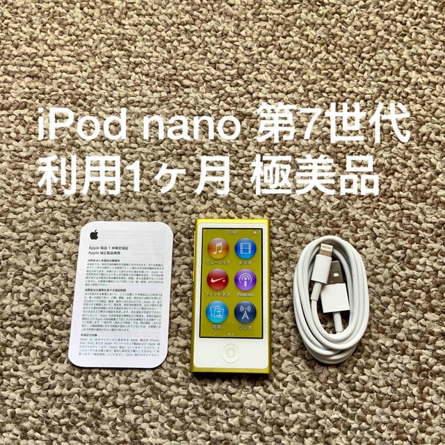 iPod(アイポッド)のiPod nano 第7世代 16GB Appleアップル　アイポッド 本体 スマホ/家電/カメラのオーディオ機器(ポータブルプレーヤー)の商品写真