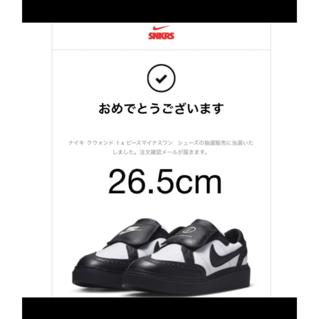 人気の商品通販サイト Nike x PEACEMINUSONE txcxy様専用