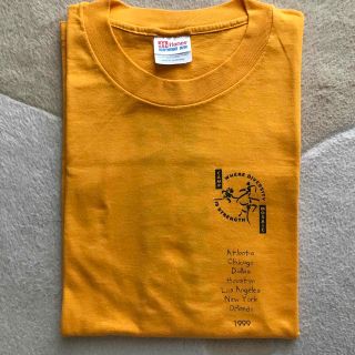 ヘインズ(Hanes)の「美品」Tシャツ　Hanes  heavyweight  50/50  半袖(Tシャツ/カットソー(半袖/袖なし))