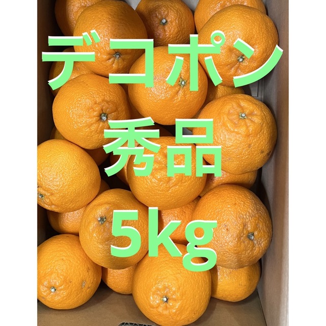 デコポン　秀品5kg