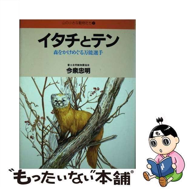 イタチとテン 森をかけめぐる万能選手/自由国民社/今泉忠明自由国民社発行者カナ