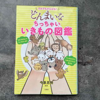 それでもがんばる！どんまいなちっちゃいいきもの図鑑(絵本/児童書)