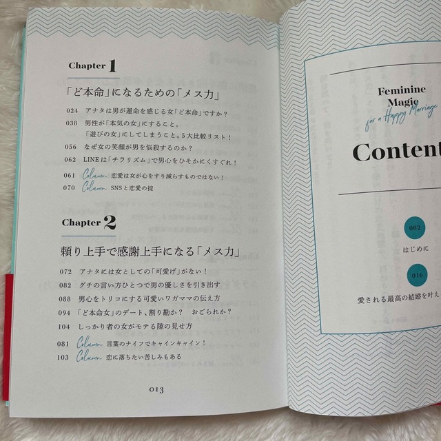 神崎メリ　メス力 エンタメ/ホビーの本(人文/社会)の商品写真