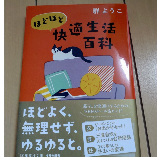 群　ようこ　　　4冊 エンタメ/ホビーのエンタメ その他(その他)の商品写真