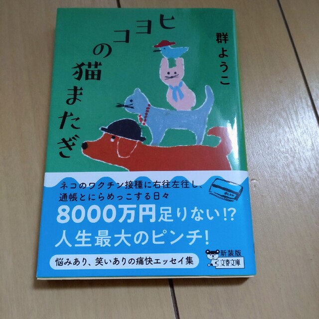 群　ようこ　　　4冊 エンタメ/ホビーのエンタメ その他(その他)の商品写真