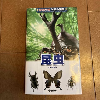 昆虫 増補改訂版(絵本/児童書)