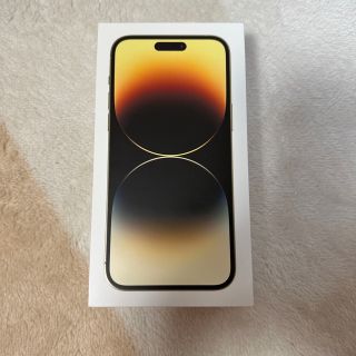 アイフォーン(iPhone)のApple iPhone 14Pro Max 【空箱】(その他)