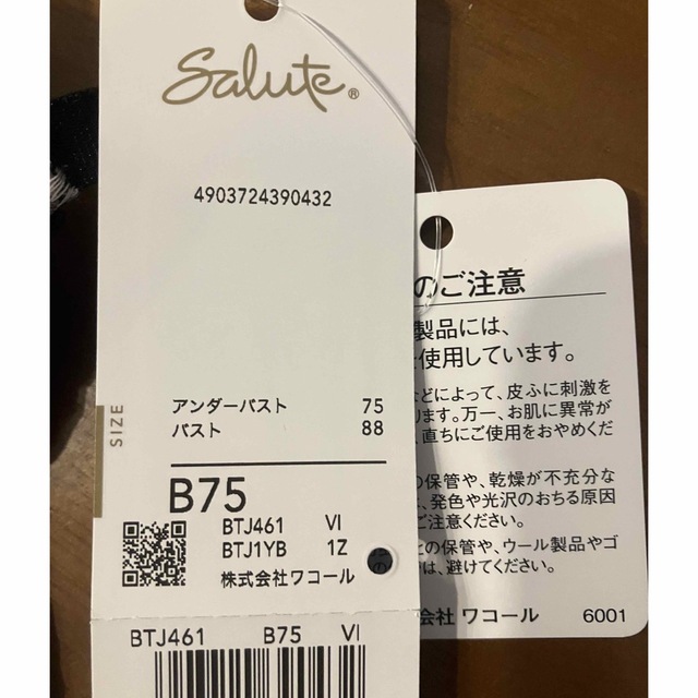 新品未使用サルート 61グループ B75 VIブラ&ショーツ&ソングセット