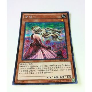 ユウギオウ(遊戯王)の5つ目　薔薇恋人　バラ・ラヴァー　シークレット　PP17-JP003　遊戯王(その他)